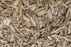 biomass boilers Biscovey